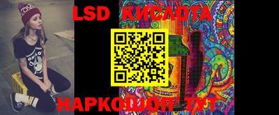 стафф Новокубанск