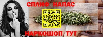 МДПВ Новодвинск