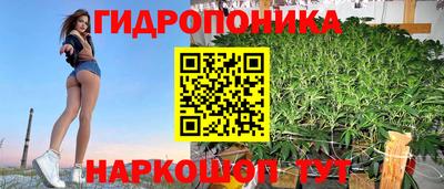 МДПВ Новодвинск