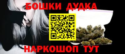 МДПВ Новодвинск