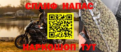 МДПВ Новодвинск